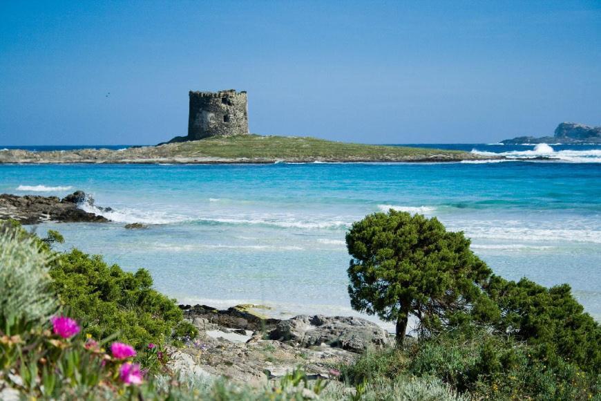 Ferienwohnung Vacanze Sardegna Santa Teresa Gallura Exterior foto